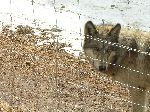 007_2009-0214-1215-41-JoeA.jpg